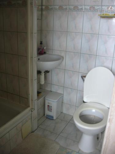 a bathroom with a toilet and a sink at Penzión Závada in Nová Lesná