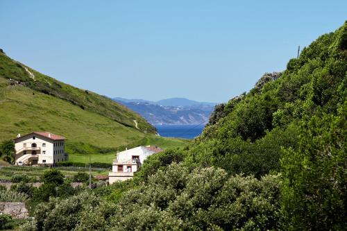 a group of houses on a hill next to the water at Hotel Flysch in Zumaia