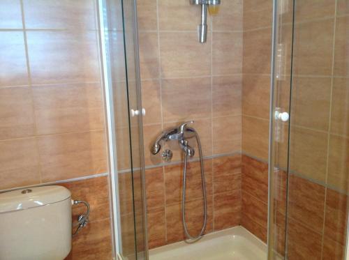 a shower with a glass door next to a toilet at Villa Julia in Petrovac na Moru