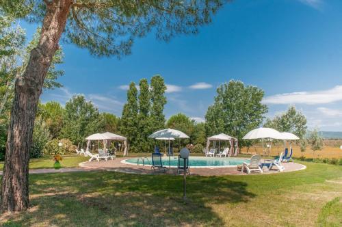 a pool with chairs and umbrellas in a yard at Podere i Giganti in Scarlino