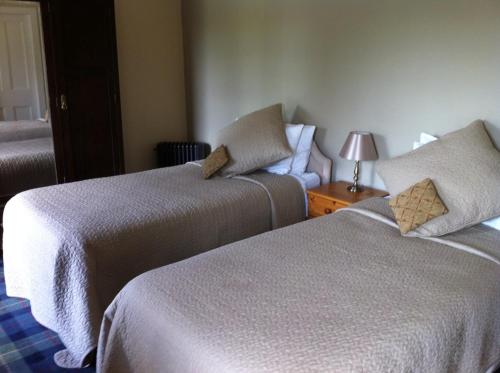 a hotel room with two beds and a lamp at Bankfoot Inn in Bankfoot