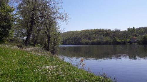 a body of water with trees and grass and a field at Le Mathi in Fumel