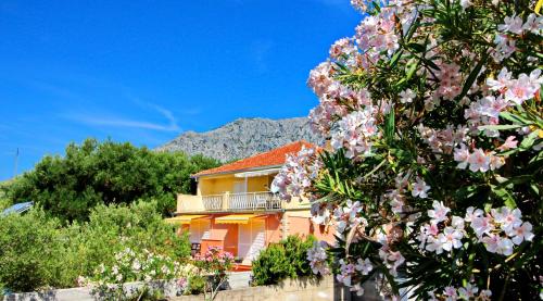 a house with a flowering tree with a mountain in the background at Apartment Pehar in Orebić