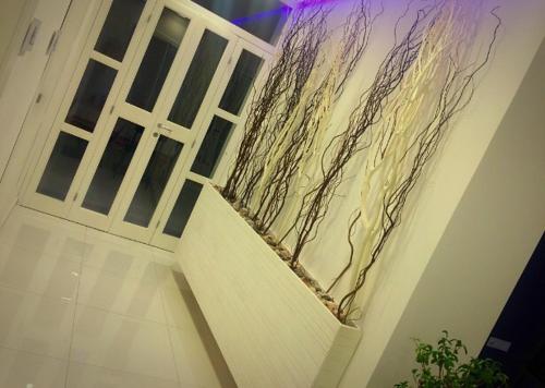 Gambar di galeri bagi B&B Sabin Ross di Margherita di Savoia