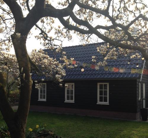 Imagen de la galería de Gina's garden house, en Ámsterdam