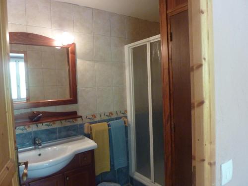 Villar-dʼArène的住宿－古幣酒店，一间带水槽和玻璃淋浴的浴室