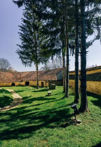 a park with trees and a building and a bird in the grass at Casa Kraus in Criţ