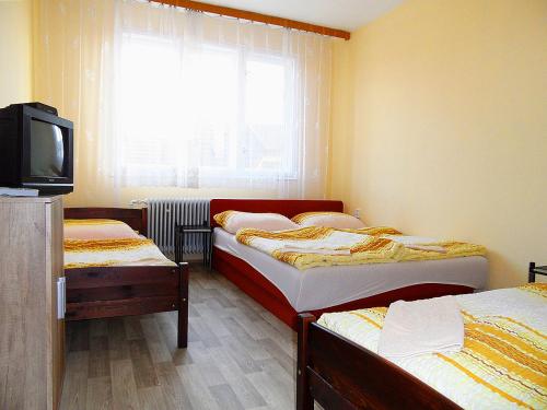 a bedroom with two beds and a tv and a window at Ubytování ve Vinařství Michna in Velké Pavlovice