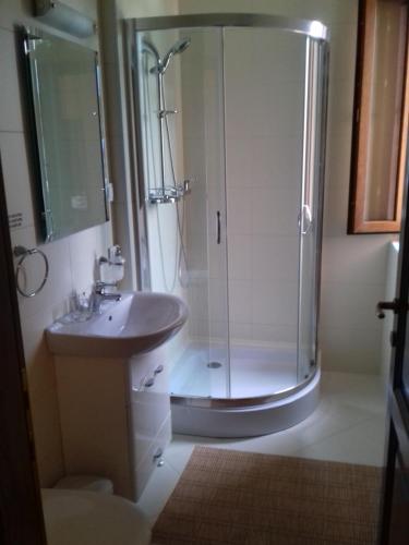 a bathroom with a shower and a sink at Pensiunea Damiris in Baile Felix