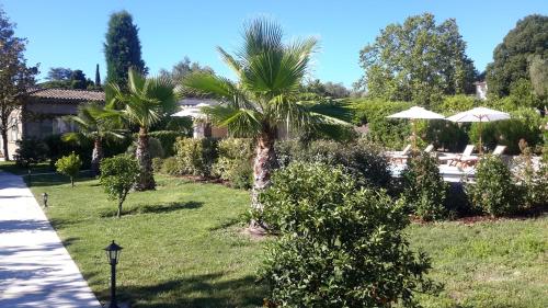 a palm tree in a yard with umbrellas at Aux charmes de grasse in Grasse