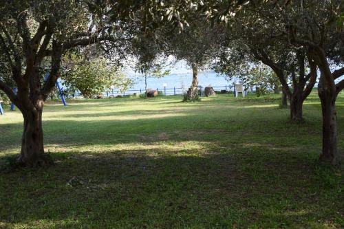 a group of trees in a field with elephants in the background at Lydia Rooms & Studios in Preveza
