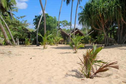a sandy beach with palm trees and a resort at Shiva's Beach Cabanas in Tangalle