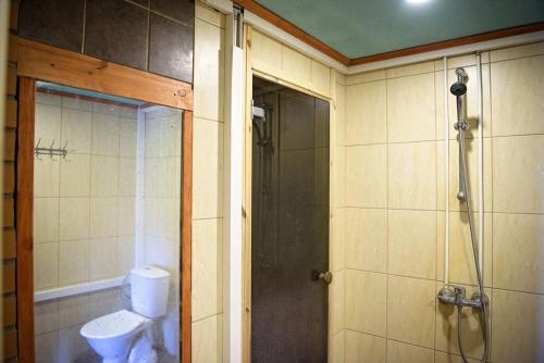 a bathroom with a shower and a toilet in it at Rehe Holiday Home in Rootsiküla