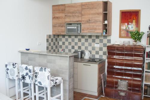 Küche/Küchenzeile in der Unterkunft Apartments Dorcol