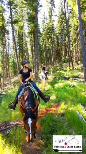 Hosté ubytování Wettstone Guest Ranch