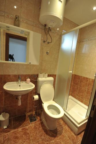 a bathroom with a toilet and a shower and a sink at Apartments Šojka in Sobra