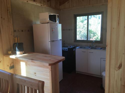 Кухня или мини-кухня в Los Quenes River Lodge
