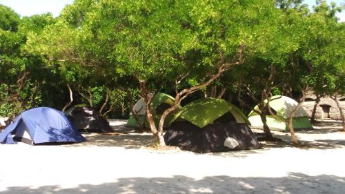 Φωτογραφία από το άλμπουμ του Mida Creek Eco Camp σε Watamu
