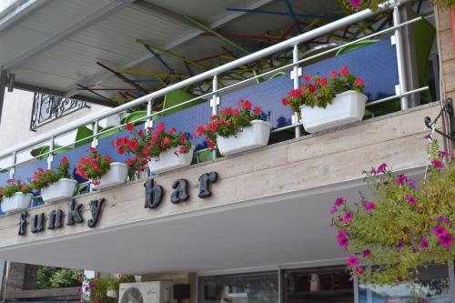 a sign for a flower shop with potted plants on it at Funky Guest House & Adventures in Përmet