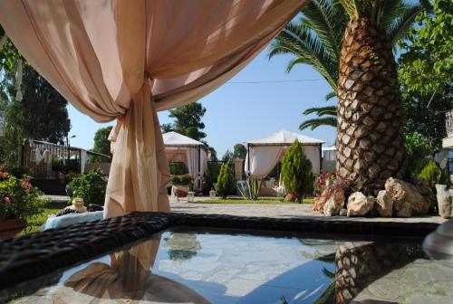 een zwembad met een luifel en een palmboom bij Villa Olga Lounge Hotel in Lygia