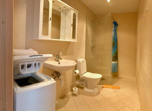 uma casa de banho com um lavatório, um WC e um chuveiro em Chelsea Riia mnt 28 Apartment em Pärnu