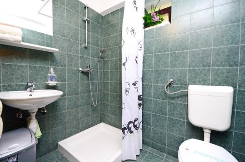 uma casa de banho com um chuveiro, um WC e um lavatório. em Apartment Srblin em Sveti Petar u Šumi