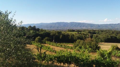 a field with trees and mountains in the background at Azzurre BeB in Laterina