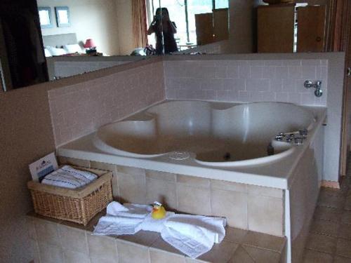 a bath tub in a bathroom with a mirror at River House Inn in Florence