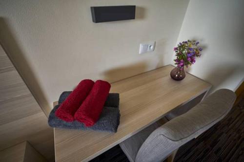 Fotografie z fotogalerie ubytování Hotel Žalý Apartmány na Benecku