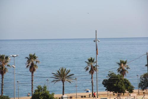 a view of a beach with palm trees and the ocean at Apartment Beach Front Canet in Canet de Mar
