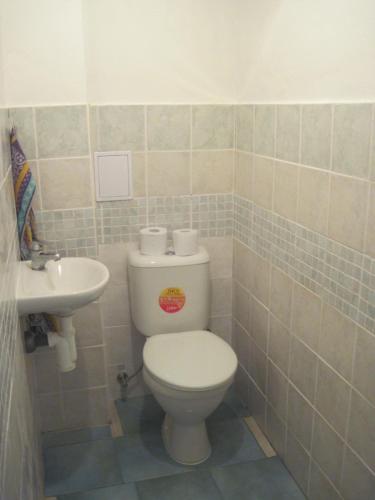 StříbřecにあるChalupa Pro Cyklistyのバスルーム(トイレ、洗面台付)