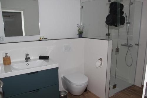 ブリースカステルにあるJakob8のバスルーム(トイレ、洗面台、シャワー付)