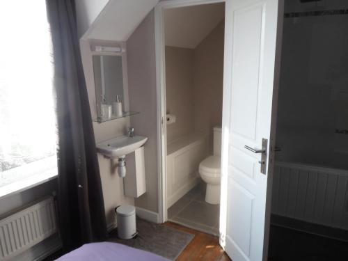 une salle de bain avec un lavabo et des toilettes dans l'établissement Riverside Bed and Breakfast, à Huelgoat