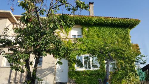 a ivy covered house with a white door at Casa Bellavista in Segovia
