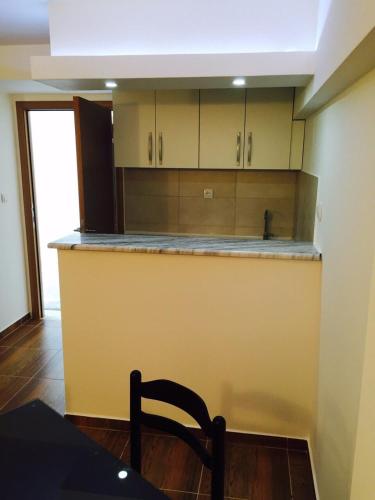 Una cocina o zona de cocina en Ceka Apartments