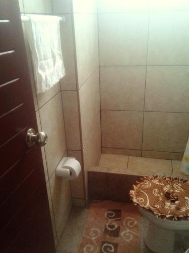 a small bathroom with a shower with a toilet at La Casa del Che Fernando in Lima