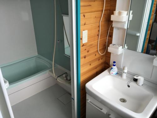 La petite salle de bains est pourvue d'un lavabo et d'une douche. dans l'établissement Dolphins and Whales, à Ishigaki