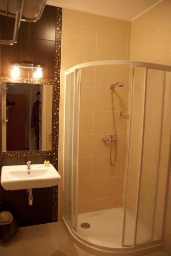 a bathroom with a shower and a sink at Willa Agnieszka in Kazimierz Dolny