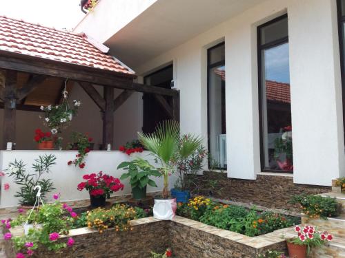 a garden in front of a house with flowers at Pensiunea Aurelia in Şiria