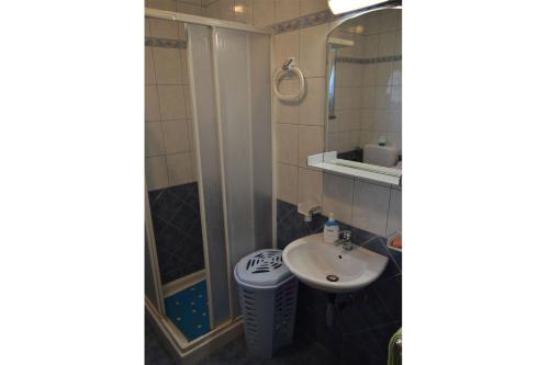 La salle de bains est pourvue d'un lavabo et d'une douche. dans l'établissement Apartment Imela, à Pula