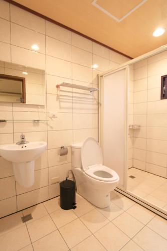a bathroom with a toilet and a sink and a shower at Long Xing B&B in Huxi