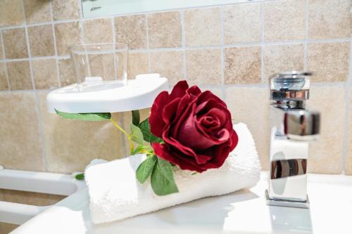 una rosa rossa seduta sopra un lavandino del bagno di Fiumicino Inn Airport a Fiumicino