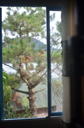 a window with a view of a tree outside at The Lake House Dalat in Da Lat