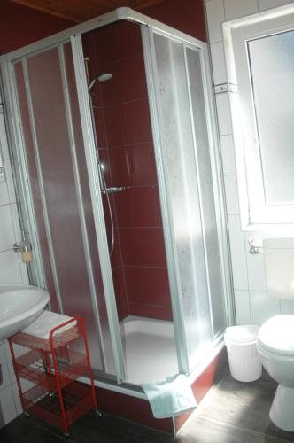 a bathroom with a shower with a toilet and a sink at Haus am Stryckweg in Willingen