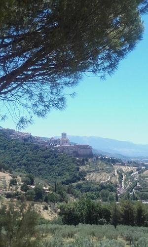 Imagen de la galería de B&B Colle San Francesco, en Asís