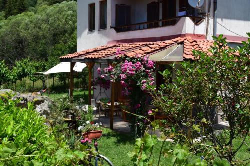 Κήπος έξω από το Villa Kabasanov