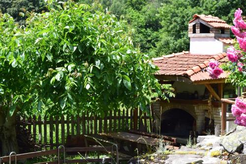 Κήπος έξω από το Villa Kabasanov