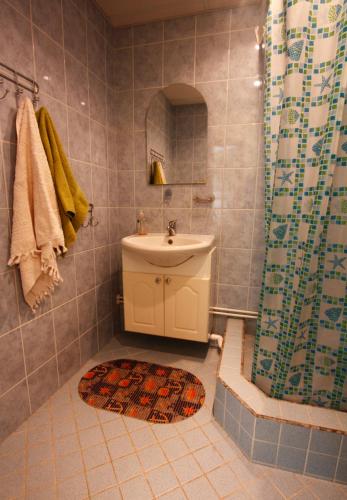 a bathroom with a sink and a shower at LM Piiri Külaliskorter in Põlva