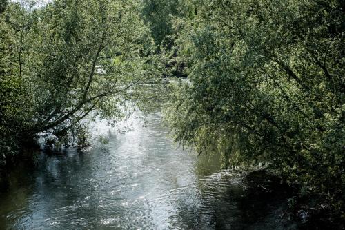 a river with trees on the side of it at Hinds Head in Aldermaston