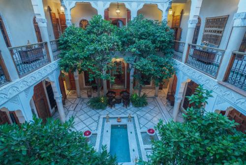 Jardin de l'établissement Riad & Spa Laurence Olivier